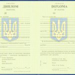 Диплом магістра для іноземців ВНЗ України 2000-2018 р.р. - фото 2