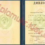 Диплом РСФСР 1974-1996 - фото 2